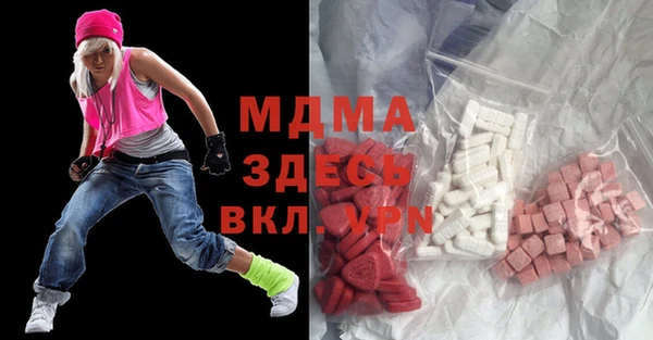 индика Бородино