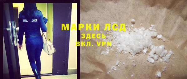 индика Бородино