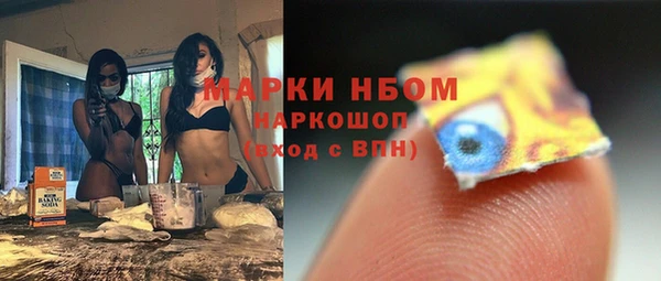 индика Бородино