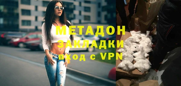 индика Бородино