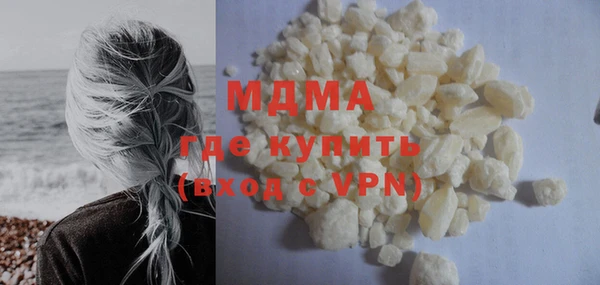 индика Бородино
