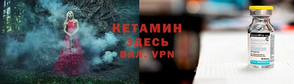 индика Бородино