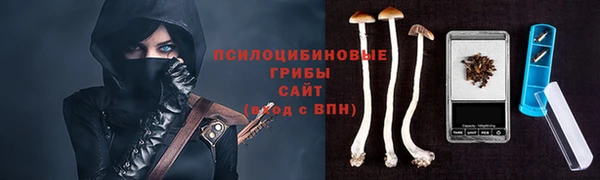 apvp Бронницы