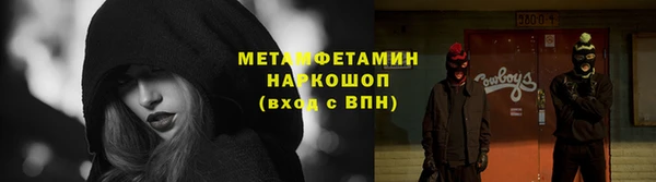 индика Бородино