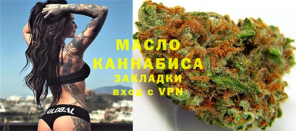 индика Бородино