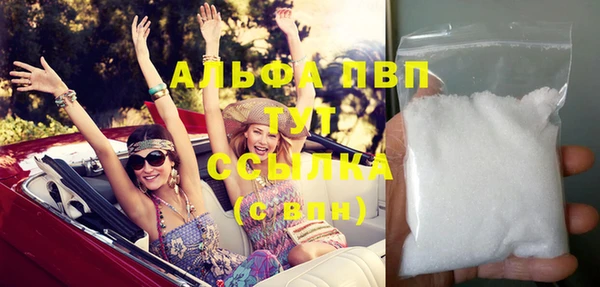 индика Бородино