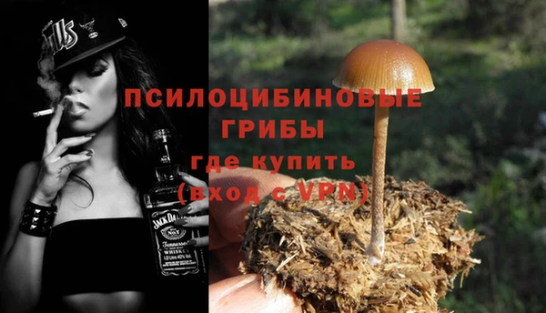 индика Бородино