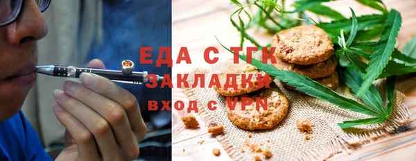 индика Бородино