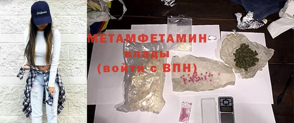 индика Бородино