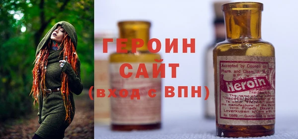 индика Бородино
