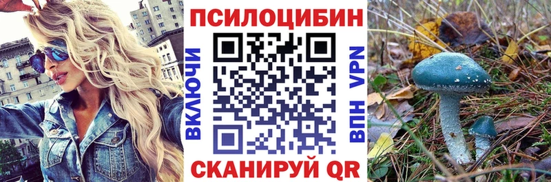 Купить закладки  Красноярск  Псилоцибиновые грибы мухоморы 